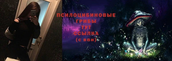 гидра Бородино