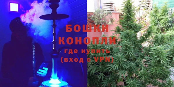 дживик Богданович