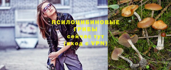 шишки Бугульма